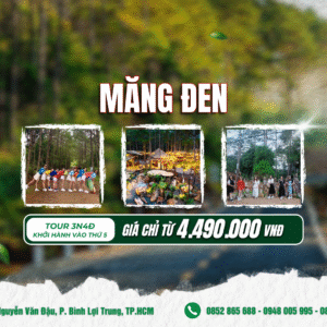 Măng Đen – Con Đường Xanh Tây Nguyên 3N4Đ