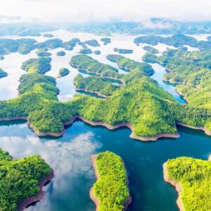 Tà Đùng – Bảo Lộc – Trị Liệu Tắm Bùn Khoáng Nóng – Tea Resort 2N2Đ