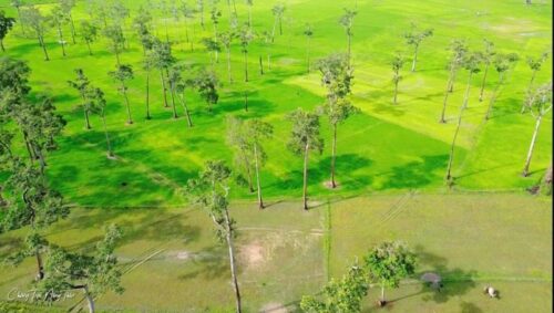 TOUR VỀ RỪNG TÀ LÀI - NAM CÁT TIÊN