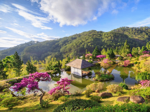 KHÁM PHÁ THÀNH PHỐ NGÀN HOA  ĐÀ LẠT