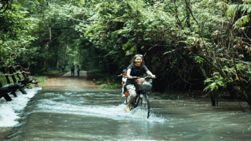 TOUR NAM CÁT TIÊN TRẢI NGHIỆM RỪNG XANH