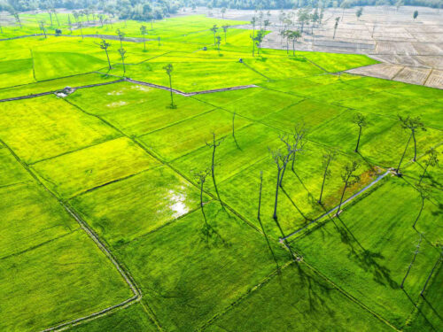 TOUR 2 NGÀY 1 ĐÊM | RỪNG TÀ LÀI – NAM CÁT TIÊN