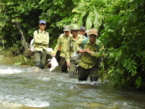 SHORT TOUR | NATURAL WALKING - NAM CÁT TIÊN