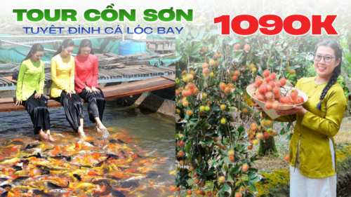 TOUR 1 NGÀY | CỒN SƠN - TRẢI NGHIỆM MIỆT VƯỜN, VUI CÙNG CÁ
