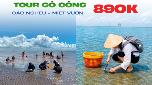 TOUR 1 NGÀY | VỀ GÒ CÔNG - CÀO NGHÊU, VUI MIỆT VƯỜN
