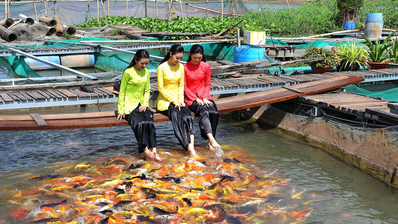 TOUR 1 NGÀY | CỒN SƠN – TRẢI NGHIỆM MIỆT VƯỜN, VUI CÙNG CÁ